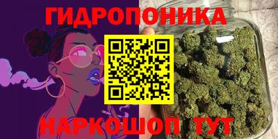 хмурый Боровичи