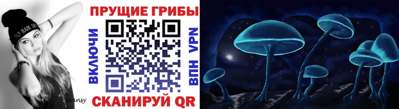 Купить где  Пятигорск  Псилоцибиновые грибы мухоморы 