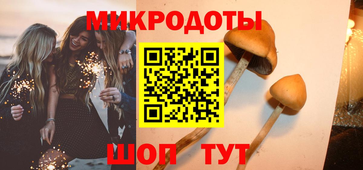 Псилоцибиновые грибы ЛСД Пятигорск