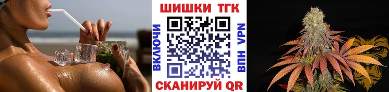 Купить  Пятигорск  Бошки Шишки план 