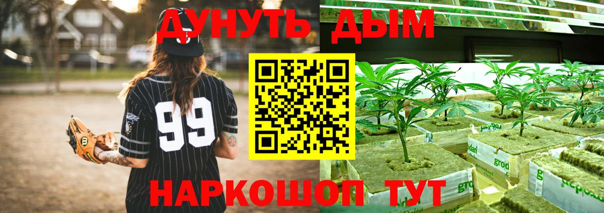 Каннабис OG Kush Пятигорск